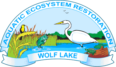 Wolf lake eco initiative