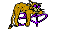 bkp