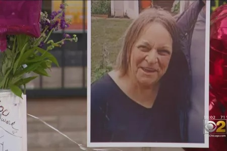 Malique Long, 17, Held Without Bond In Murder, Attempted Carjacking Of 70-Year-Old Yvonne Ruzich